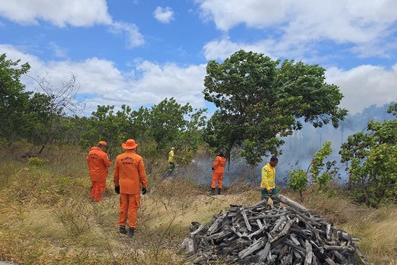 Governo de Roraima retoma cursos para qualificar brigadistas como bombeiros civis