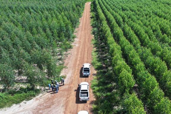 Segurança jurídica: Governo moderniza Código Ambiental e fortalece agricultura e pecuária em Roraima